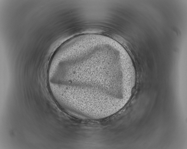 X0000113320337200910051130