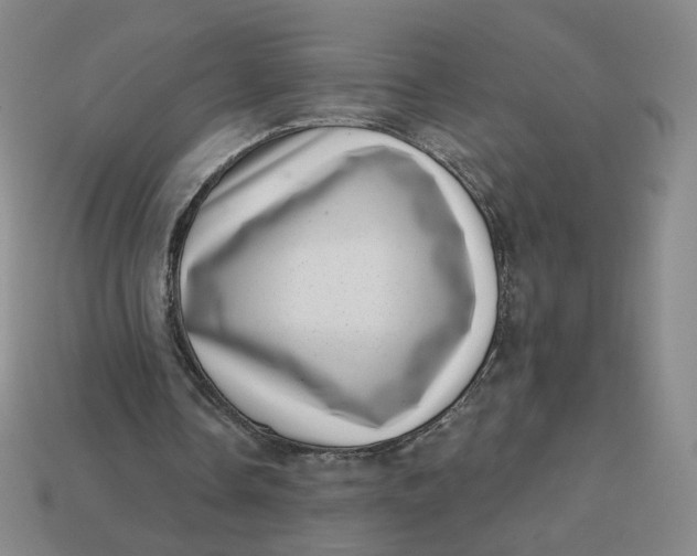 X0000113320338200910051130