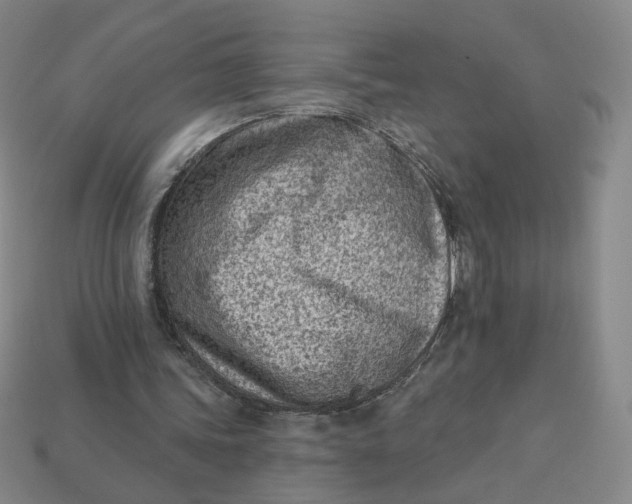 X0000113320339200910051130