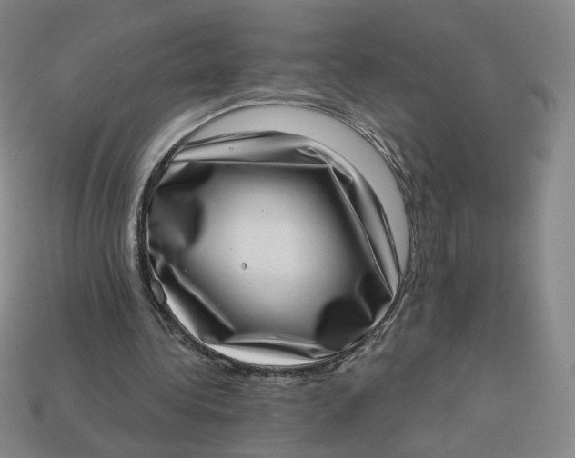 X0000113320340200910051130