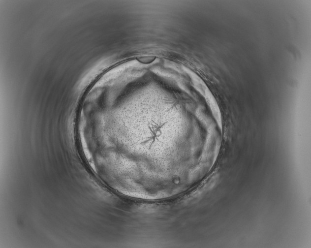 X0000113320341200910051130