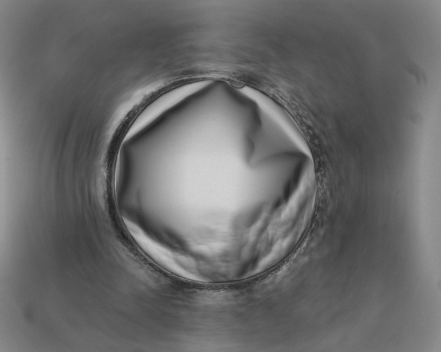 X0000113320342200910051130