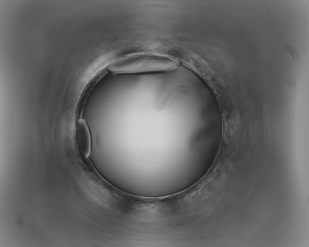 X0000113320344200910051130