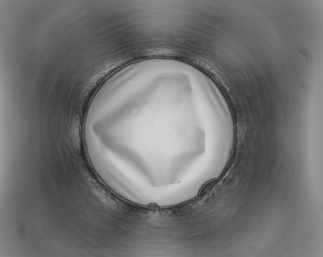 X0000113320345200910051130