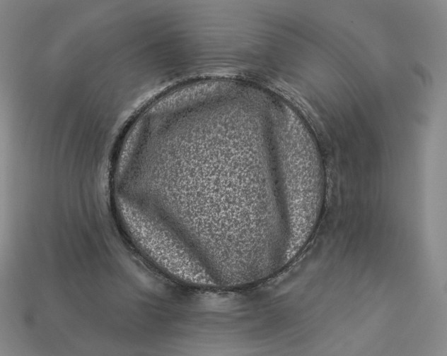 X0000113320346200910051130