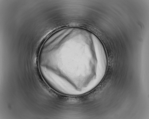 X0000113320347200910051130