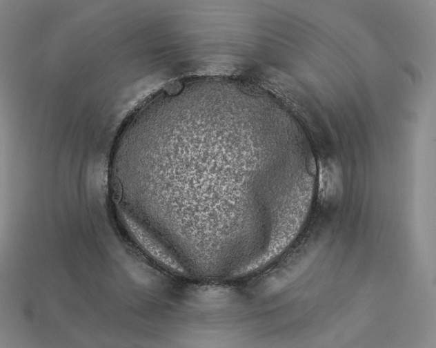 X0000113320348200910051130