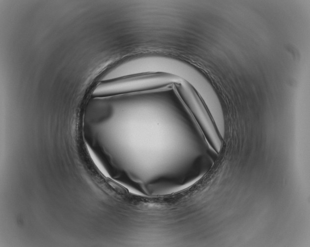 X0000113320352200910051130