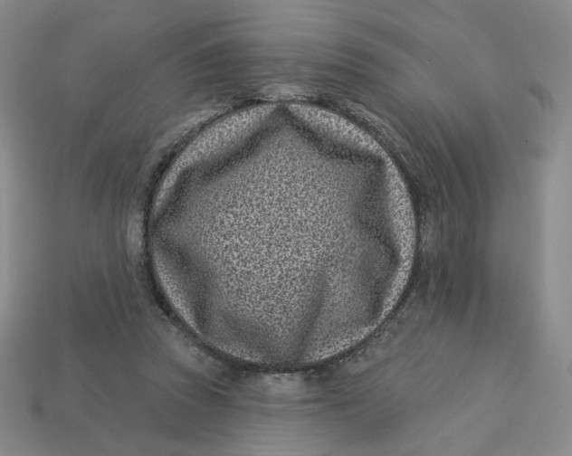 X0000113320353200910051130