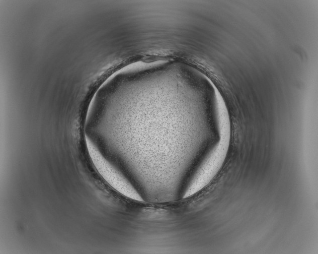 X0000113320354200910051130