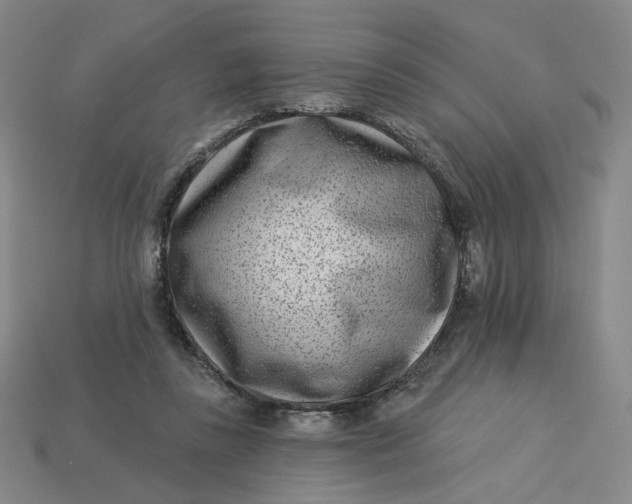 X0000113320355200910051130