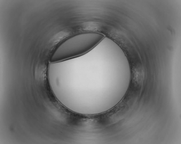 X0000113320356200910051130