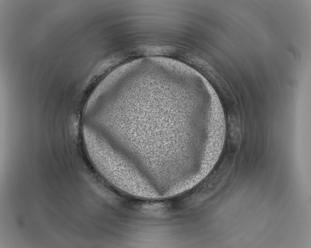 X0000113320357200910051130