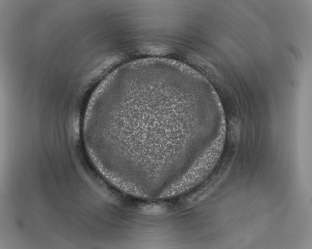 X0000113320358200910051130