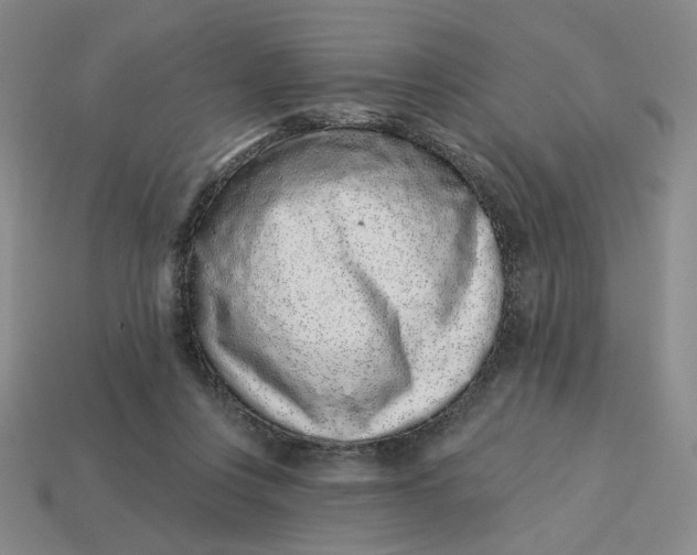 X0000113320359200910051130