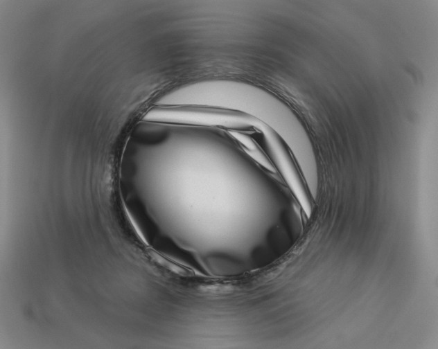 X0000113320362200910051130