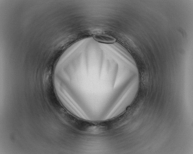 X0000113320364200910051130