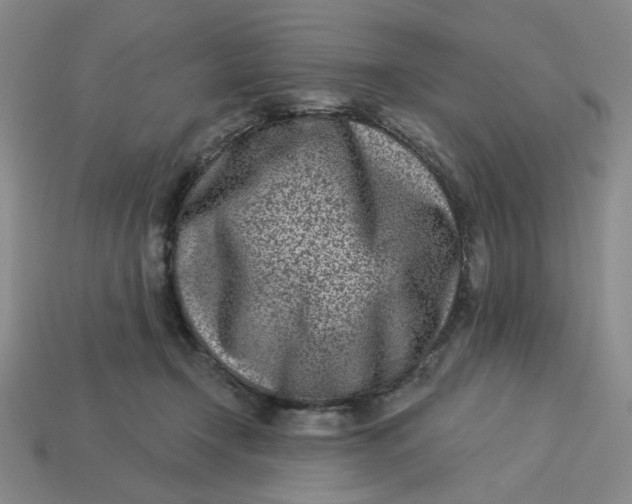 X0000113320366200910051130