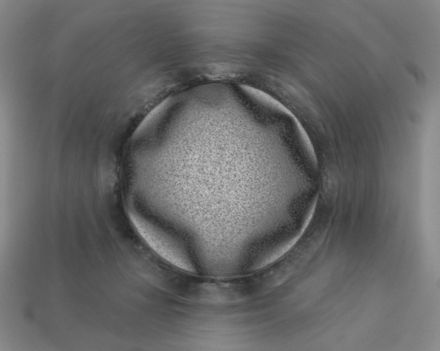 X0000113320367200910051130