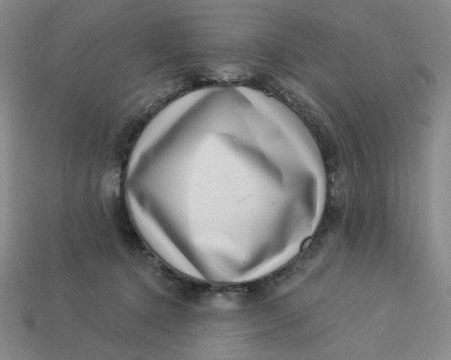 X0000113320368200910051130