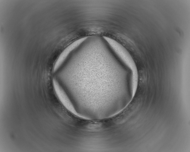 X0000113320369200910051130