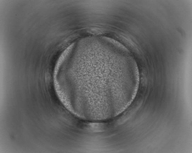 X0000113320371200910051130