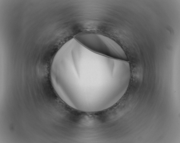 X0000113320372200910051130