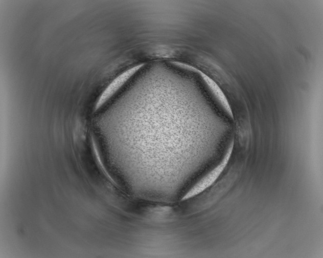 X0000113320374200910051130