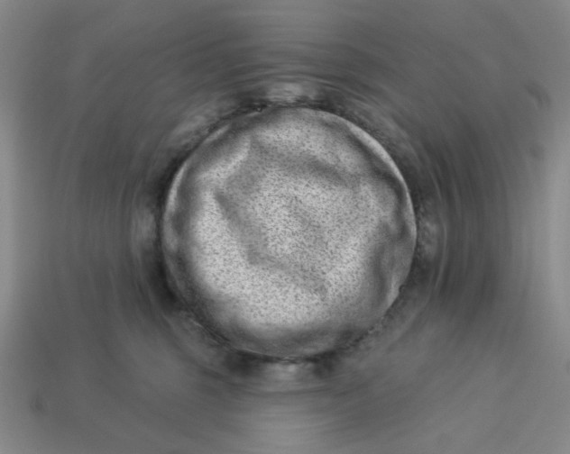 X0000113320375200910051130