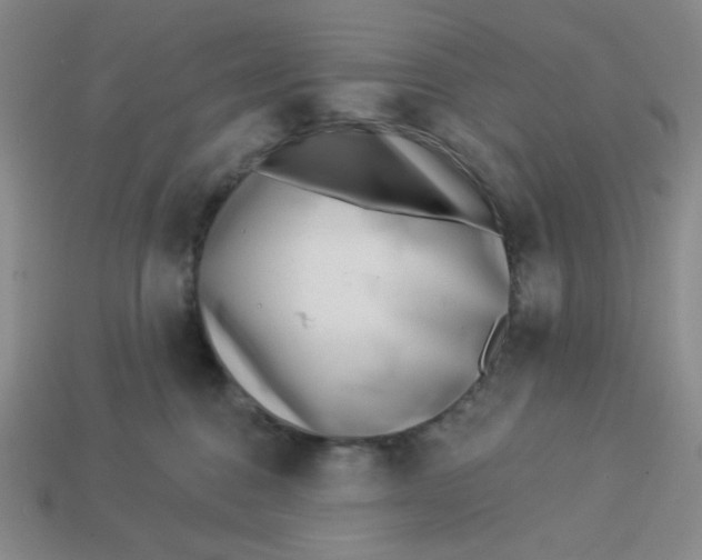 X0000113320376200910051130