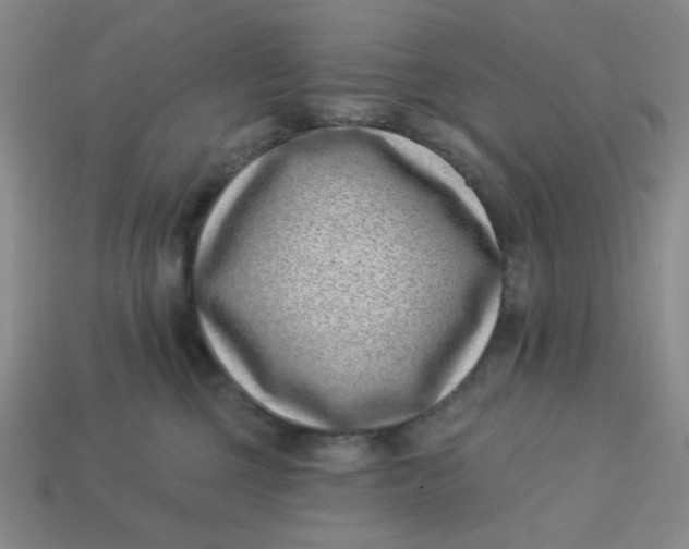 X0000113320377200910051130