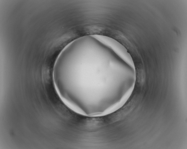 X0000113320378200910051130