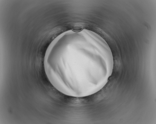 X0000113320379200910051130