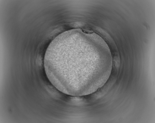 X0000113320380200910051130