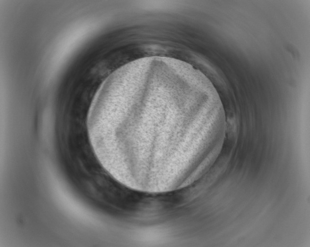 X0000113320381200910051130