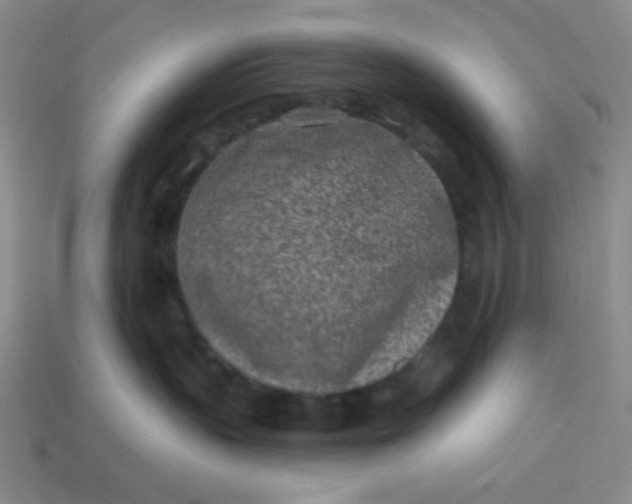 X0000113320383200910051130