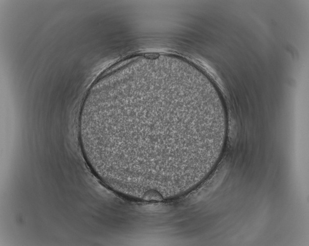 X0000113320385200910051130