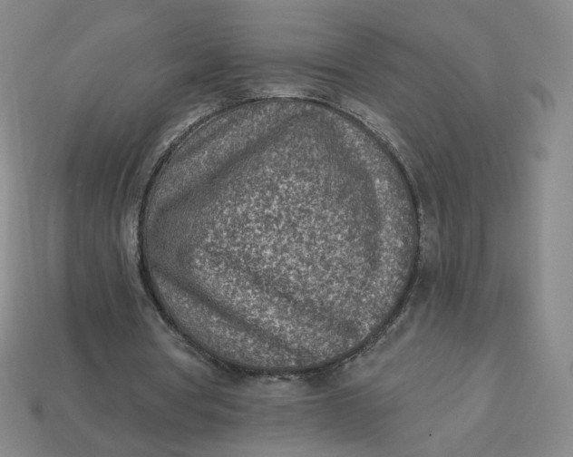 X0000113320386200910051130