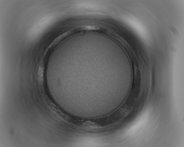 X0000113320387200910051130