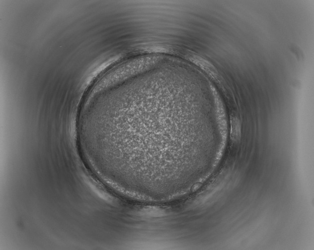 X0000113320390200910051130