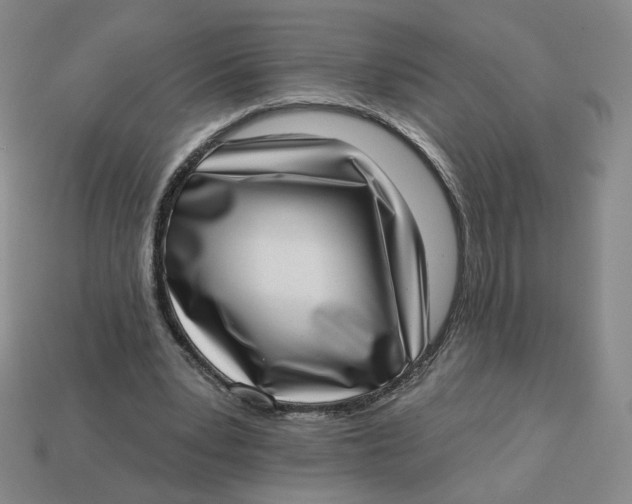 X0000113320391200910051129