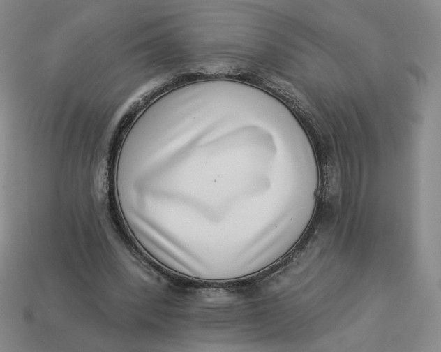 X0000113320392200910051129