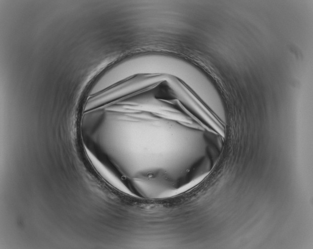 X0000113320395200910051129