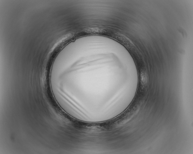 X0000113320396200910051129