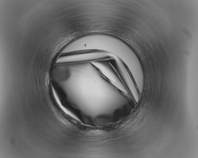 X0000113320397200910051129