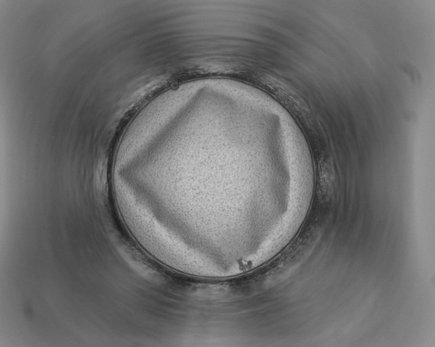 X0000113320398200910051129