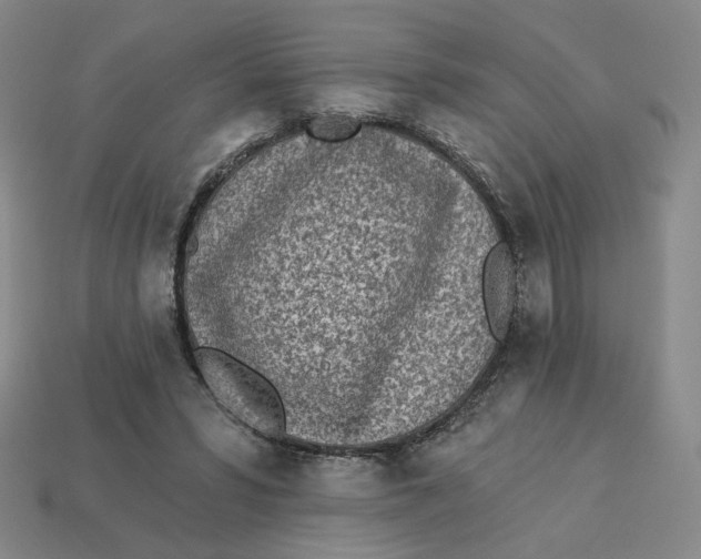 X0000113320399200910051129