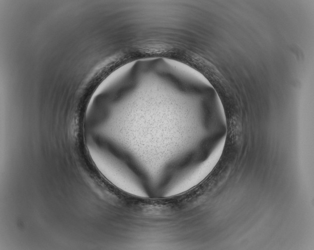 X0000113320400200910051129