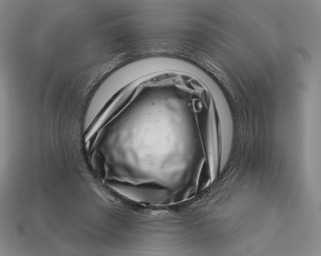 X0000113320401200910051129