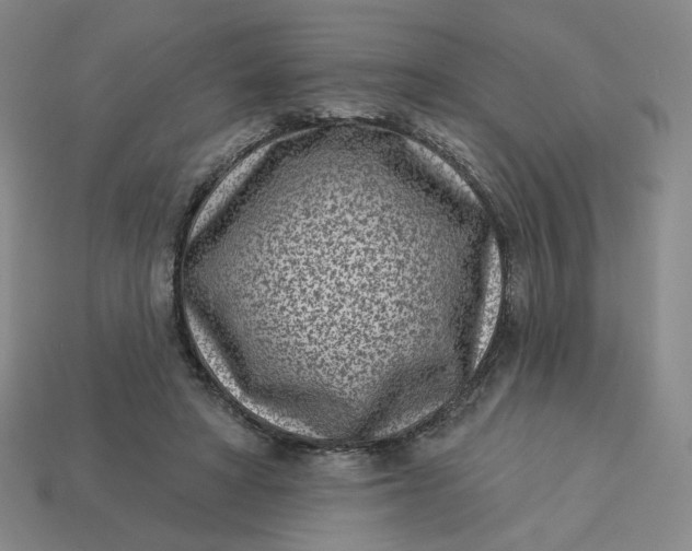 X0000113320402200910051129